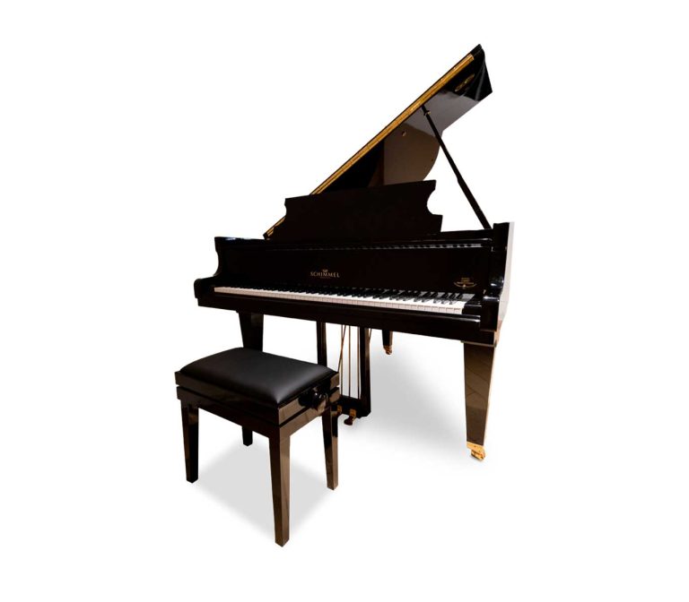 Schimmel – T150