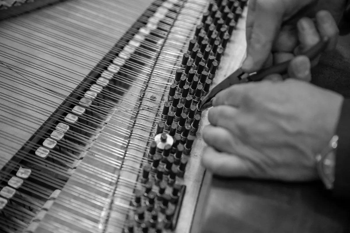 come diventare accordatore di pianoforti
